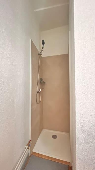 Le Cocon Apartman Montauban Kültér fotó