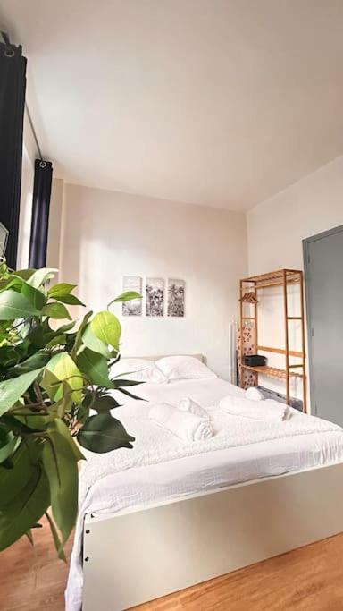 Le Cocon Apartman Montauban Kültér fotó